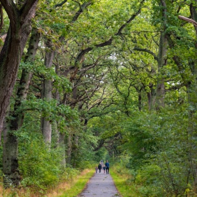 Naturpark Amager