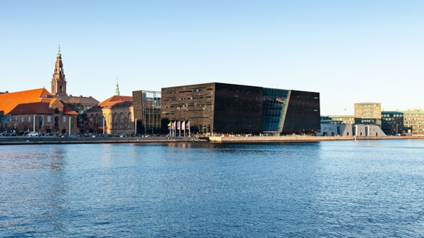The Black Diamond - Royal Danish Library 