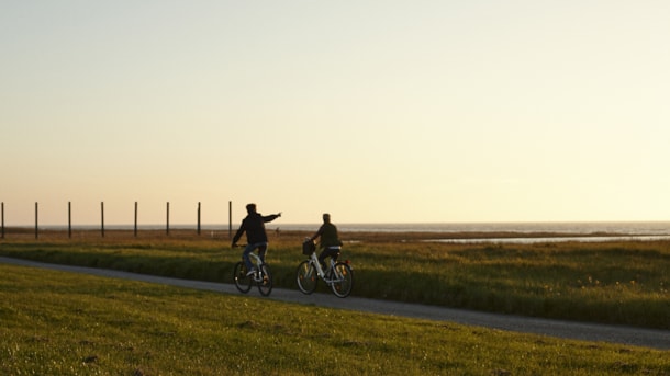 Cykelruter i Danmark: Den kongelige marskrute