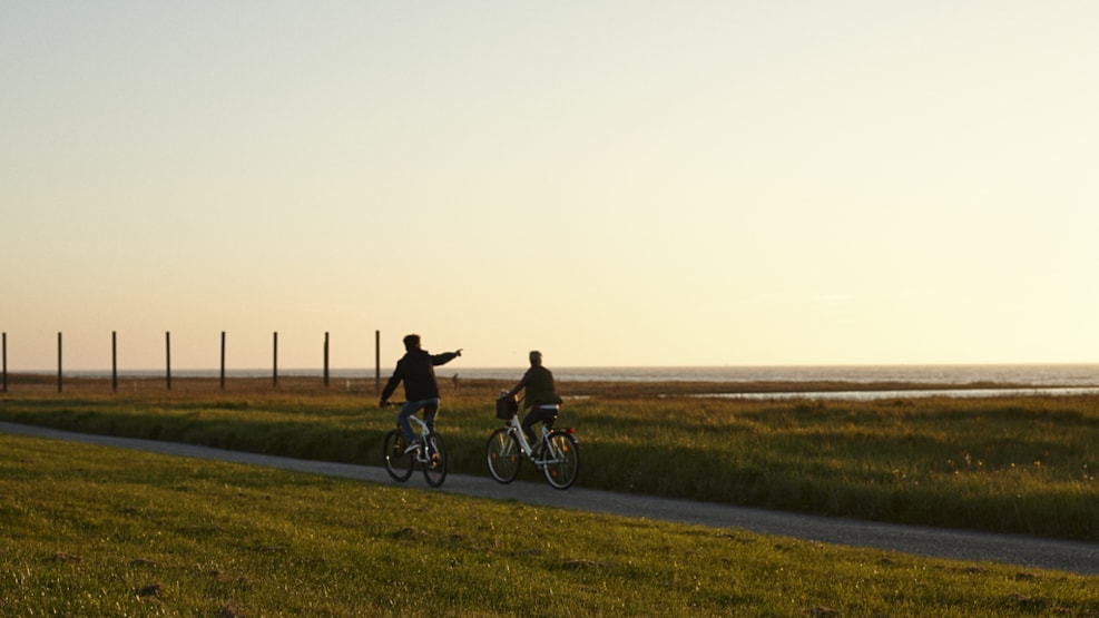 Denmark’s cycle routes: The royal marshland route