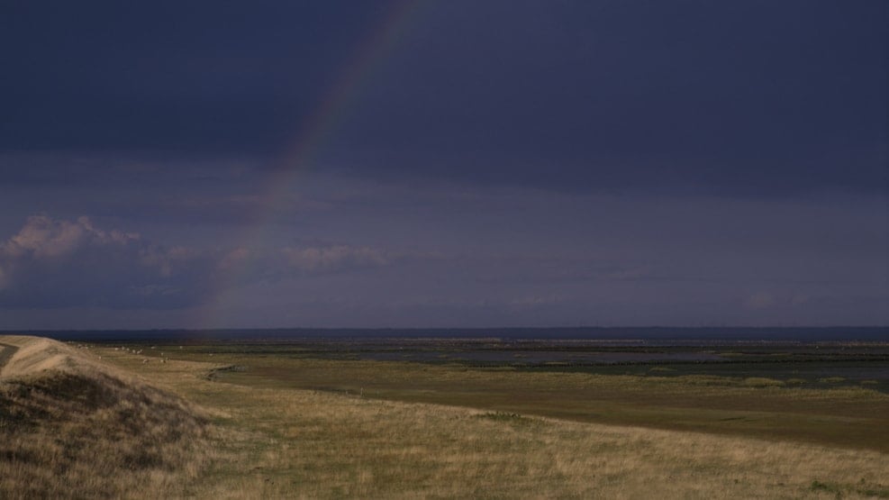 Denmark’s cycle routes: The Commander and the whale