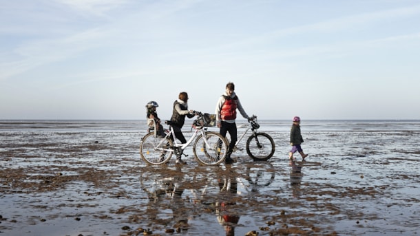 Cykelruter i Danmark: Vikinger og Vadehavet