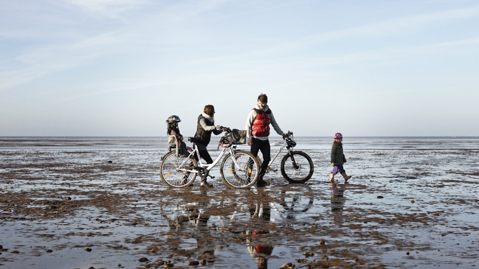 Denmark’s cycle routes: Vikings and the Wadden Sea