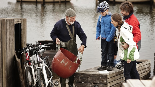 Cykelruter i Danmark: I fiskens tegn