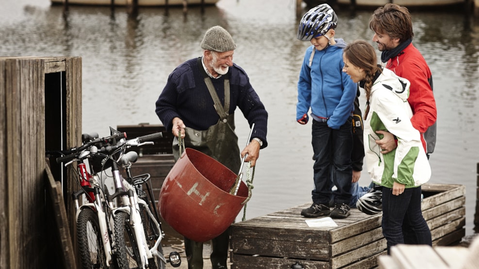 Denmark’s cycle routes: Close to the underwater world