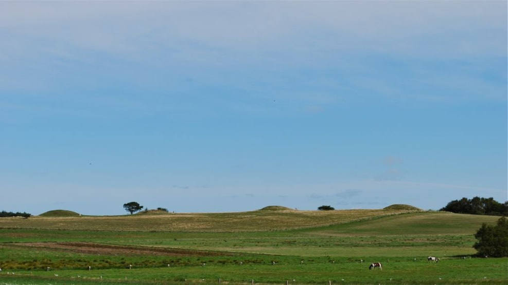 The Bronzeage Mounds in Melby