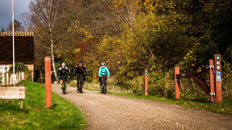 The Par Force Bicycle Route 105