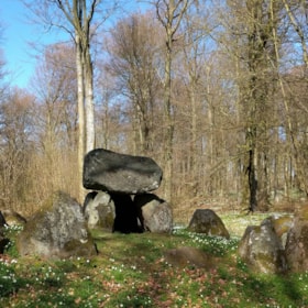 The dolmens in Valby Hegn