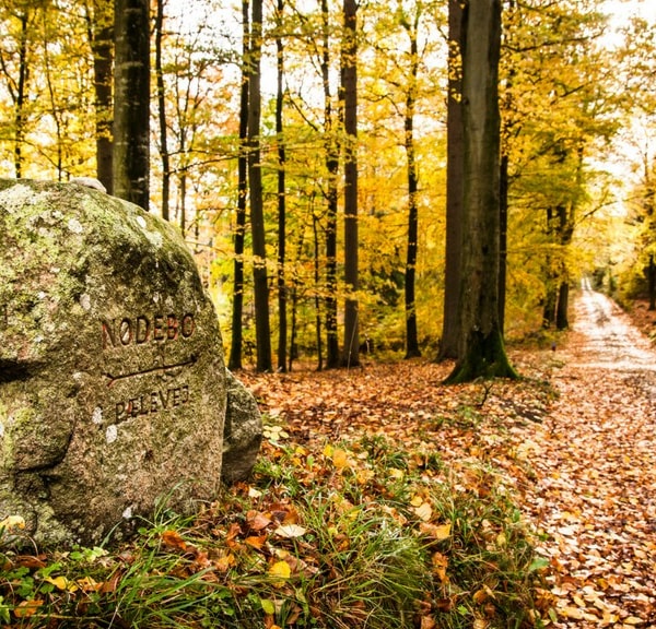 Gribskov | En af Danmarks største skove