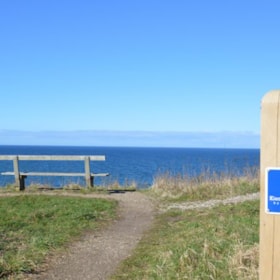 Kierkegaard by Nature – an interactive hiking route in Gilleleje.