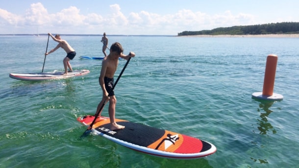 Stand up paddle - Surfshop Hornbæk