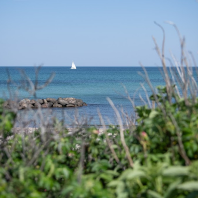 Download Kole strand billeder Free HD