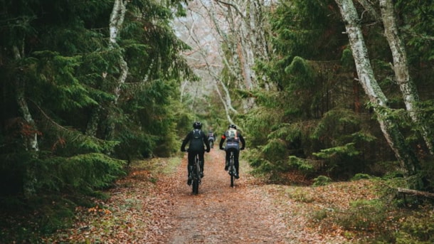 The MTB Route in Tisvilde Fence