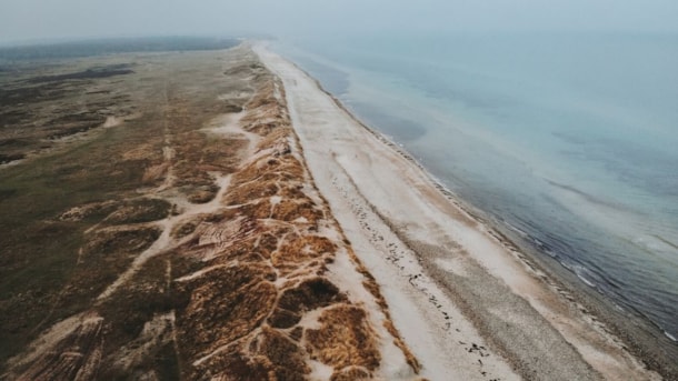Melby Overdrev - Sjællands største hede