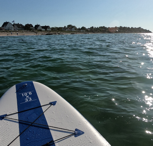 Crazy about water? - Rental of SUP boards