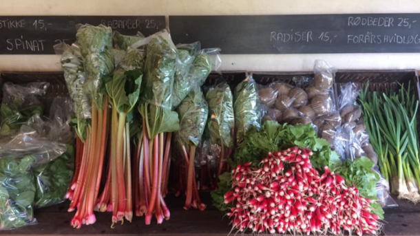 Greens from Kolsbæk | Fresh vegetables directly from the field
