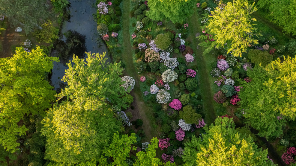 Rhododendron Park at Nivaagaard