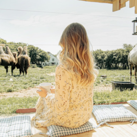 Sleep together with camels in Dronningmølle 