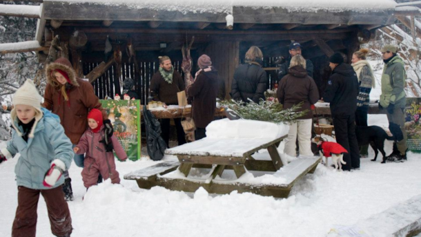 Christmas Market at Skovskolen