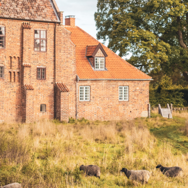 Esrum Kloster og Møllegård - Levende middelalder for børn og voksne