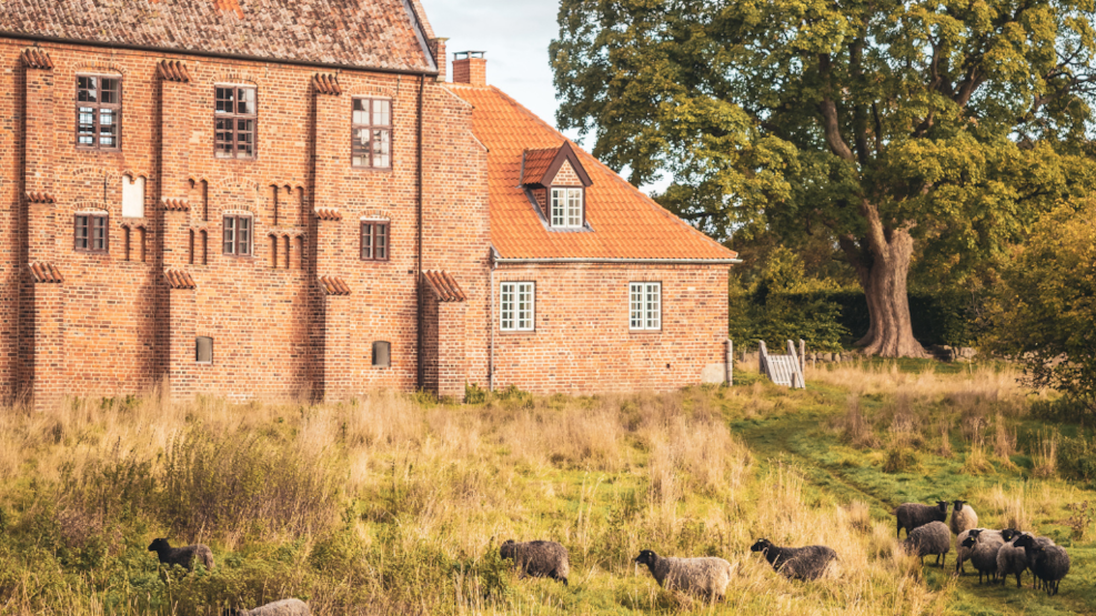 Esrum Abbey and Mill