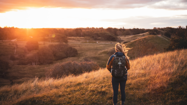 Oplev Tisvildevejen: En vandretur fra Esrum Kloster til Tisvildeleje