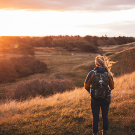 Discover the Tisvilde Trail: Hike from Esrum Abbey to Tisvildeleje