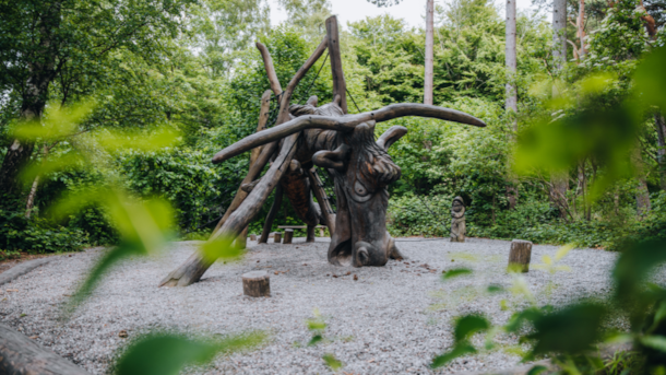 Experience Havtyren Nature Playground | Play and Adventure in Liseleje