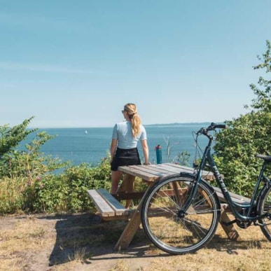 Kunst und Kultur mit dem Fahrrad erleben - 3 Museumsbesuche an einem Tag