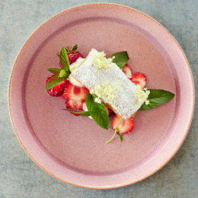 Rabarbergaarden Slottet