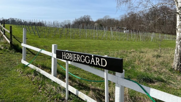 Høbjerggård – En vingård med sjæl