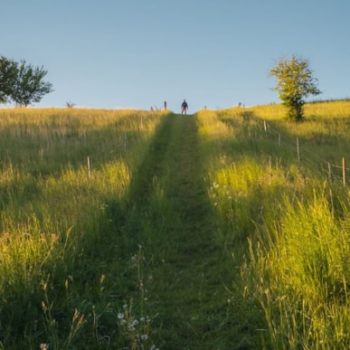 Ein flotter Spaziergang in Torup - Ökodorf und Felder