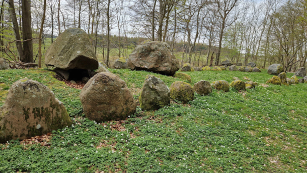 The dolmens Valby Hegn: Full of History and Fresh Air