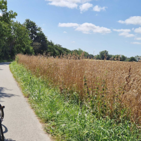 Oplev Søborg Sø på cykelrute 33 | Gilleleje - Hillerød