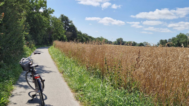 Experience Søborg Lake on Bike Route 33 | Gilleleje - Hillerød