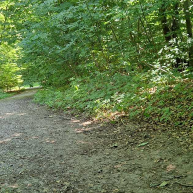 Langstrupstien - På cykel fra Fredensborg til Nivå