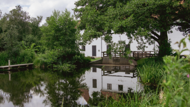 Experience the Power of Water at Esrum Watermill – History and Nature in North Zealand