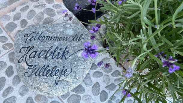 Saturday Lounge with Live Music at Havblik Gilleleje – Cosy Vibes Every Weekend