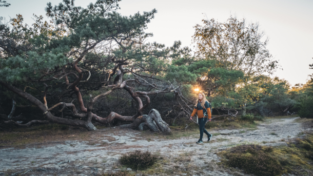 The Long Tisvilde Hike – 80 km Nature Experience in North Zealand