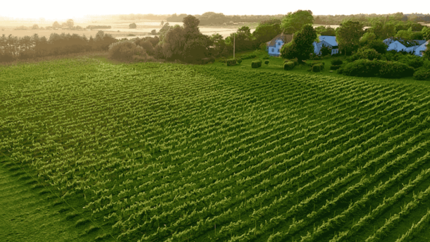Gilleleje Wine – Kvalitetsvine i hjertet af Gilleleje