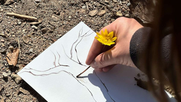 Påsken på Esrum Kloster | En Sanselig Vandring Mellem Træerne