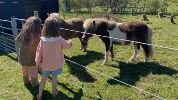 My Little Farm | Oplevelser med dyr og natur for hele familien