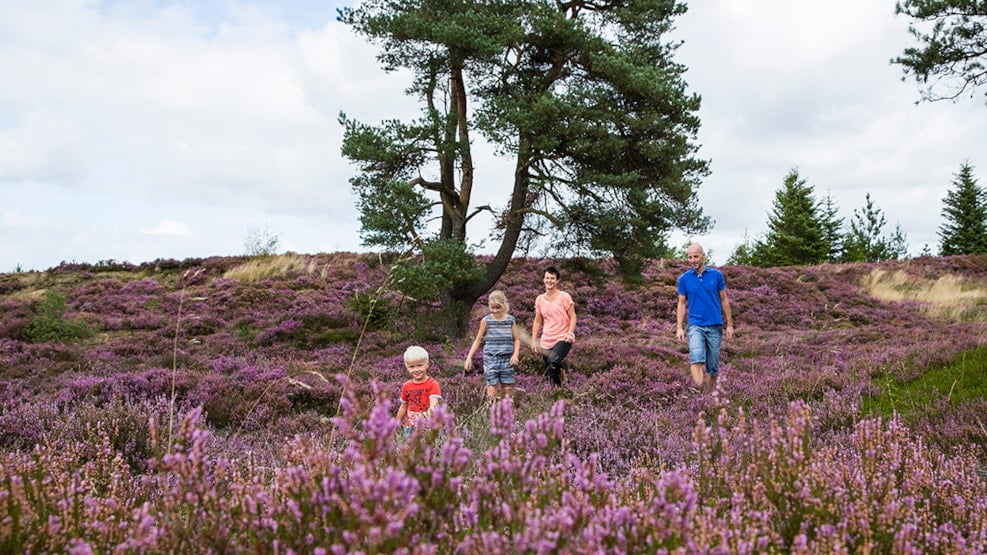 Grene Sande near Billund