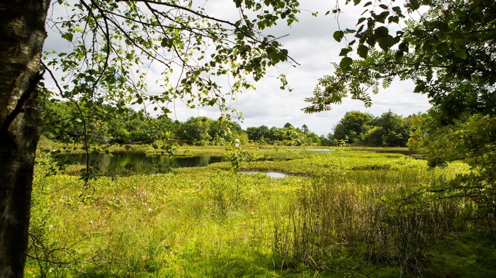 Dronninglund Forest and Sømosen