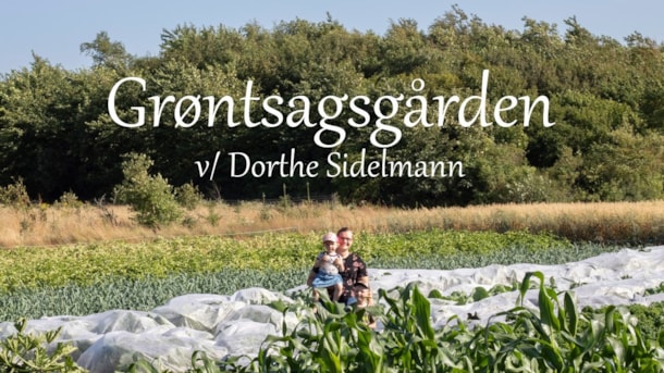 Grøntsagsgården v/ Dorthe Sidelmann