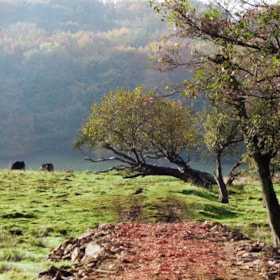 Illerup - the Holy Valley