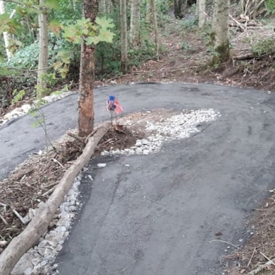 Der MTB-Trail im Baneskoven, Skanderborg
