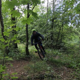 MTB-sporet i Junges Plantage