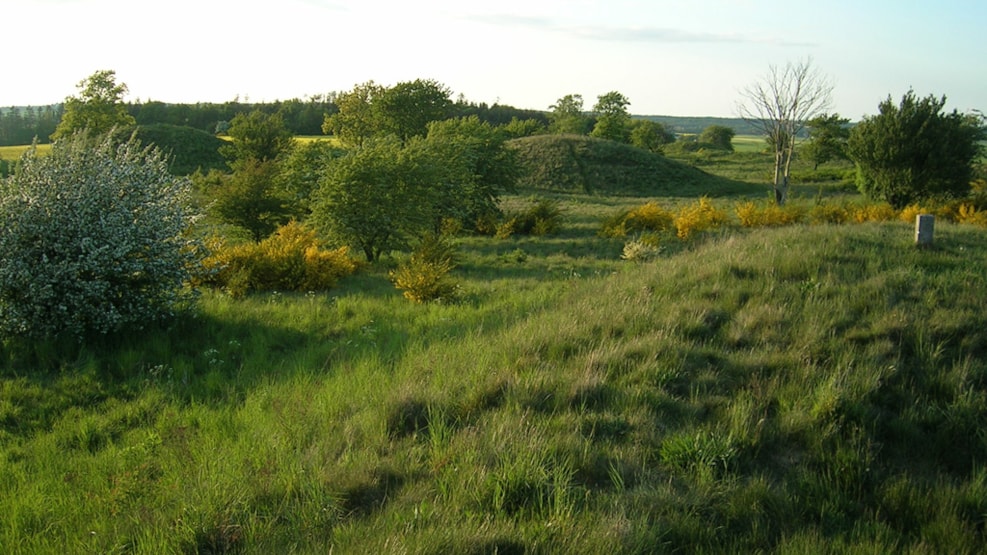 Burial mounds from the Bronze Age