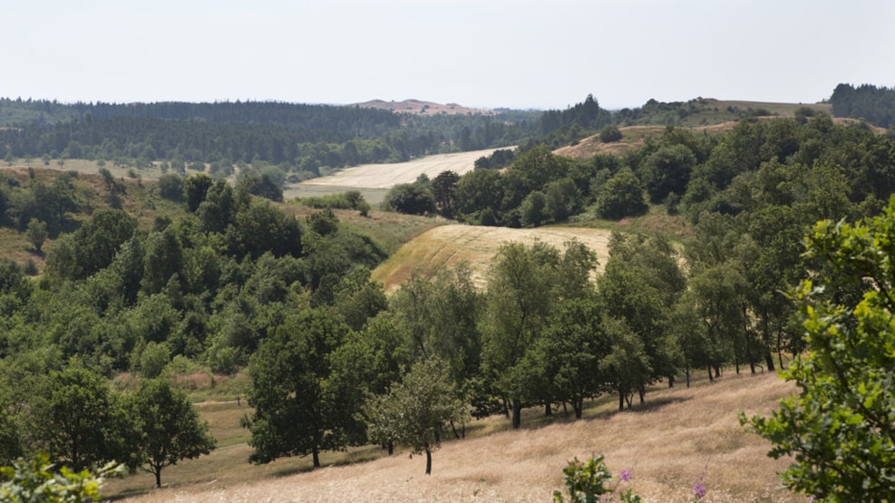 Agri Bavnehøj